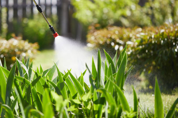 24/7 Emergency Mosquito Control experts in Steep Falls, ME