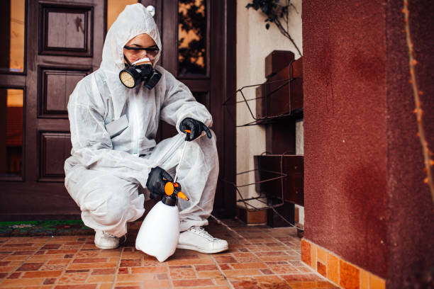 Reliable Mosquito Control contractor in Steep Falls, ME by Show Me Pest Control