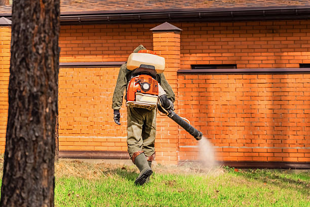 Top rated local Mosquito Control specialists in Steep Falls, ME